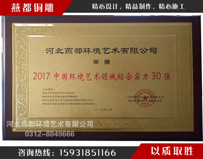 中國環(huán)境藝術領域綜合實力30強